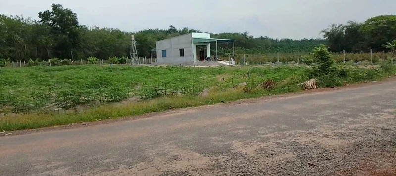 Bán đất mặt tiền đường nhựa 256,5m2 giá 350 triệu tại Xã Thạnh Đông, Tân Châu, Tây Ninh