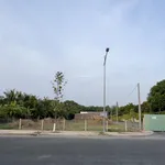 BÁN GẤP SIÊU RẺ MẢNH ĐẤT 2500M2 FULL THỔ - TRƯỜNG AN VĨNH LONG - CHỈ 37 TỶ - Ảnh thu nhỏ 8