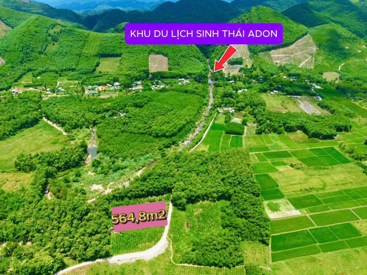 Bán đất trồng cây lâu năm 565m2 giáp đường tại Suối A Don, Phong Điền, Huế - Ảnh thu nhỏ 2