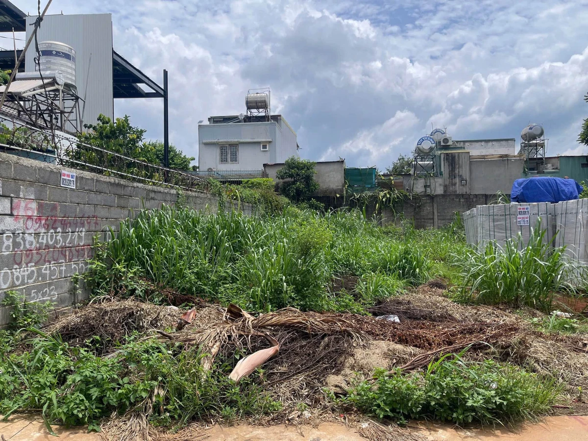 Bán đất hẻm Nguyễn Hữu Thấu Bình Tân 60 m² giá 3,78 tỷ - Ảnh thu nhỏ 4
