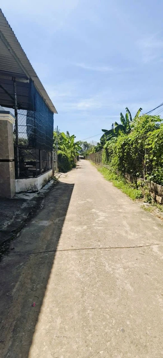 Bán đất Diên Bình, Khánh Hòa, 60m² - Ảnh thu nhỏ 2