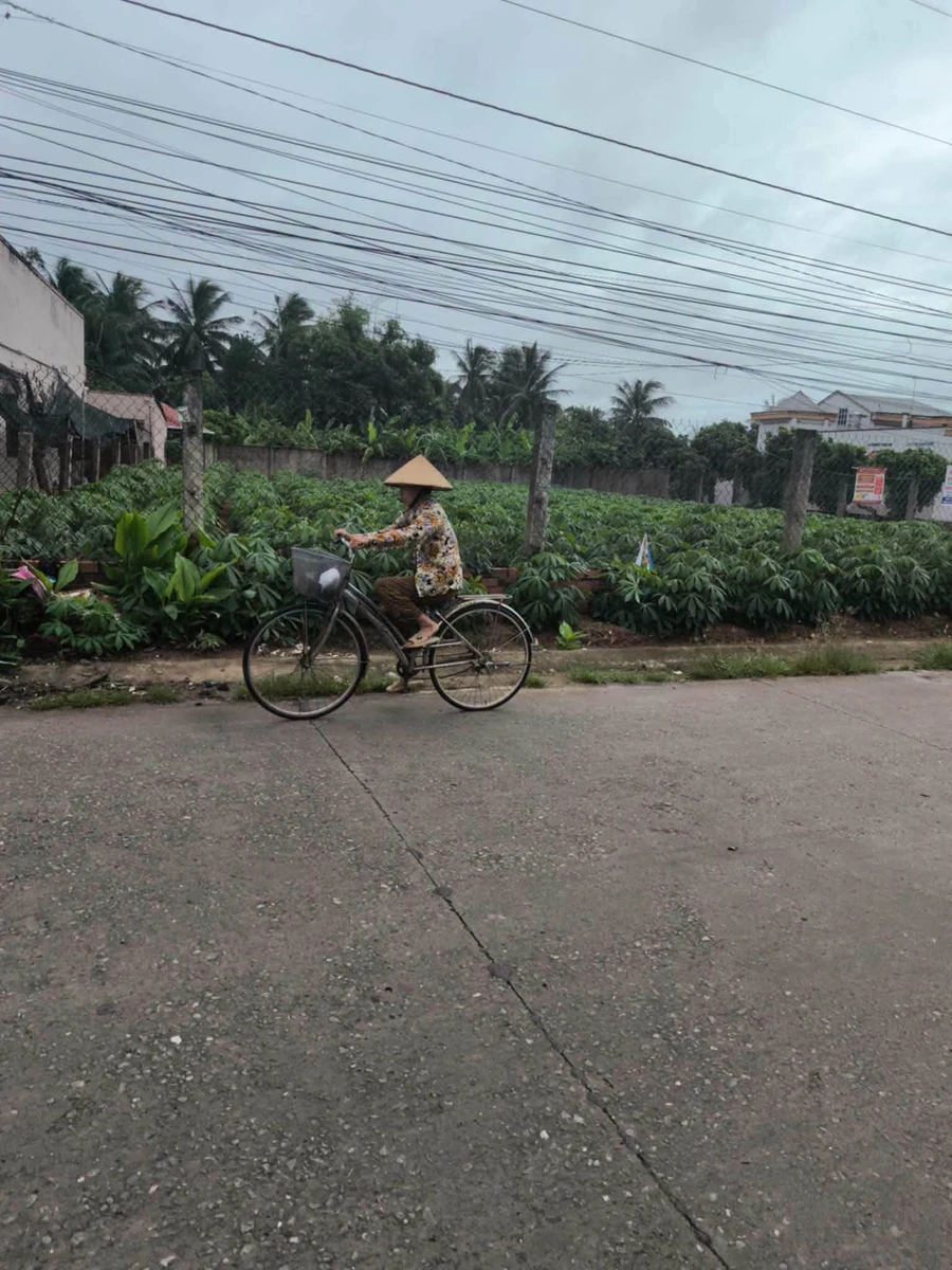Bán đất mặt tiền 22x40m Lộc Thuận, Bến Tre - Ảnh thu nhỏ 3