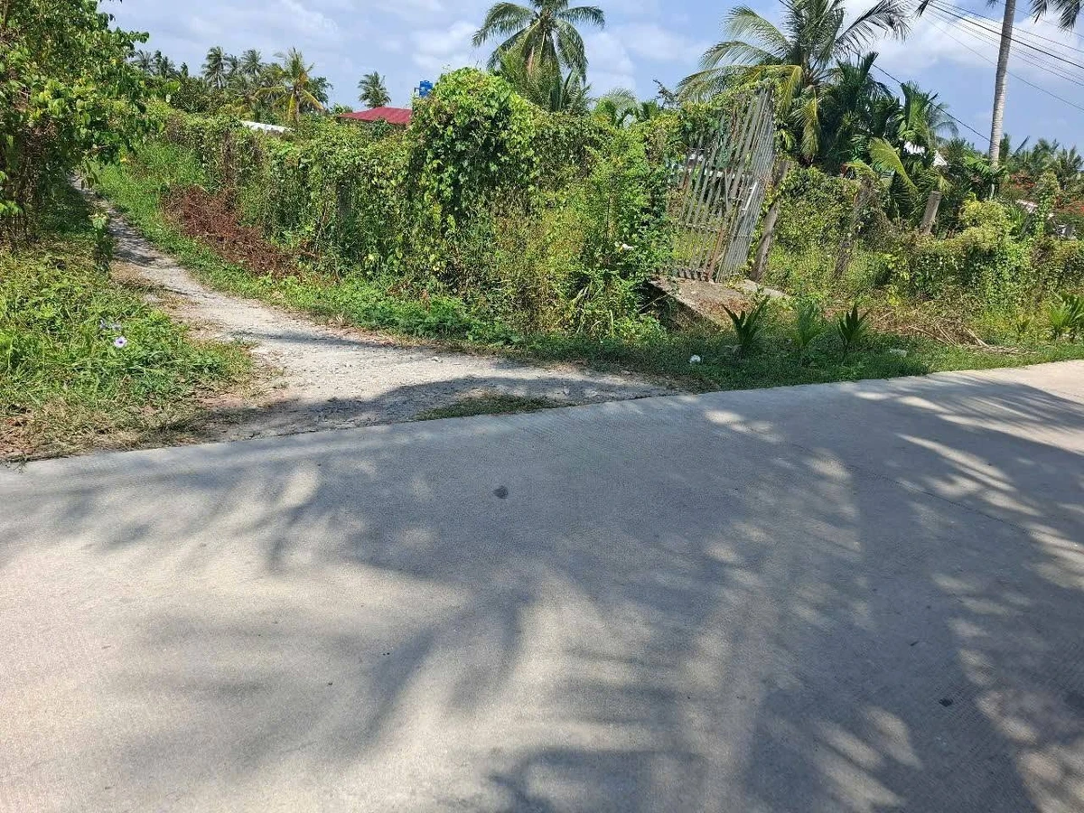 Bán đất Long Thới Chợ Lách 2.700m² giá 463 tr/công - Ảnh 1