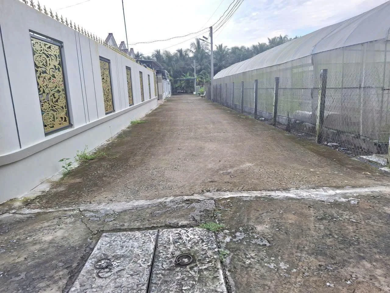 Bán nhà vườn 245m2, 2PN Phú Khương, Thủ Đức - Ảnh 1