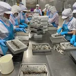 Cần chuyển nhượng nhà máy thủy sản xuất khẩu Cà Mau - Ảnh thu nhỏ 1