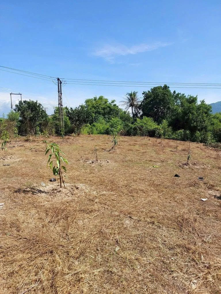 Bán đất vườn hơn 1200m2 view sông tại Diên Đồng, Diên Khánh, Khánh Hòa giá 899 triệu - Ảnh thu nhỏ 2