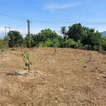 Bán đất vườn hơn 1200m2 view sông tại Diên Đồng, Diên Khánh, Khánh Hòa giá 899 triệu - Ảnh thu nhỏ 2