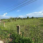 Bán lô thổ cư 162m² mặt tiền 6m gần chợ Bình An - Ảnh thu nhỏ 2