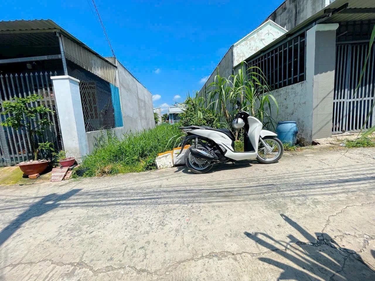 Bán gấp lô đất thổ cư 6x20m, sổ hồng riêng, đường bê tông 4m, giá 1,3 tỷ, Bình Tiền 1 - Ảnh 1