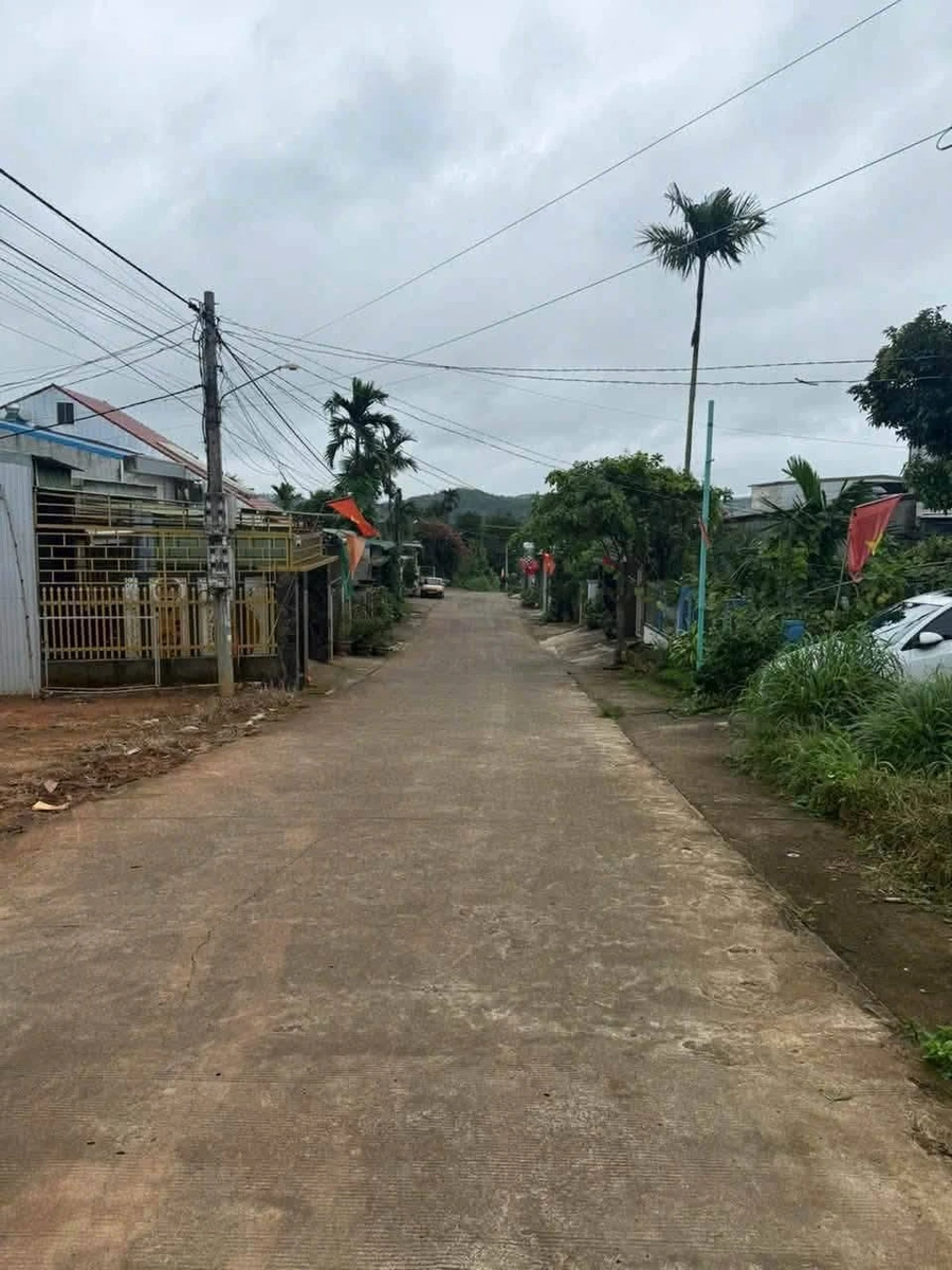 Bán nhà 3 phòng ngủ 217m² Lâm Đồng 1 tỷ 6 - Ảnh thu nhỏ 2