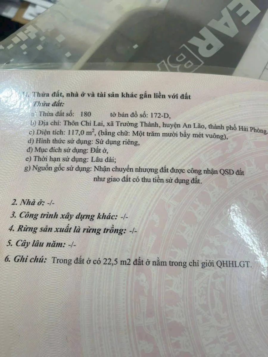 Bán lô đất 117m² mặt đường lớn Chi Lai, Củ Chi - Ảnh thu nhỏ 5