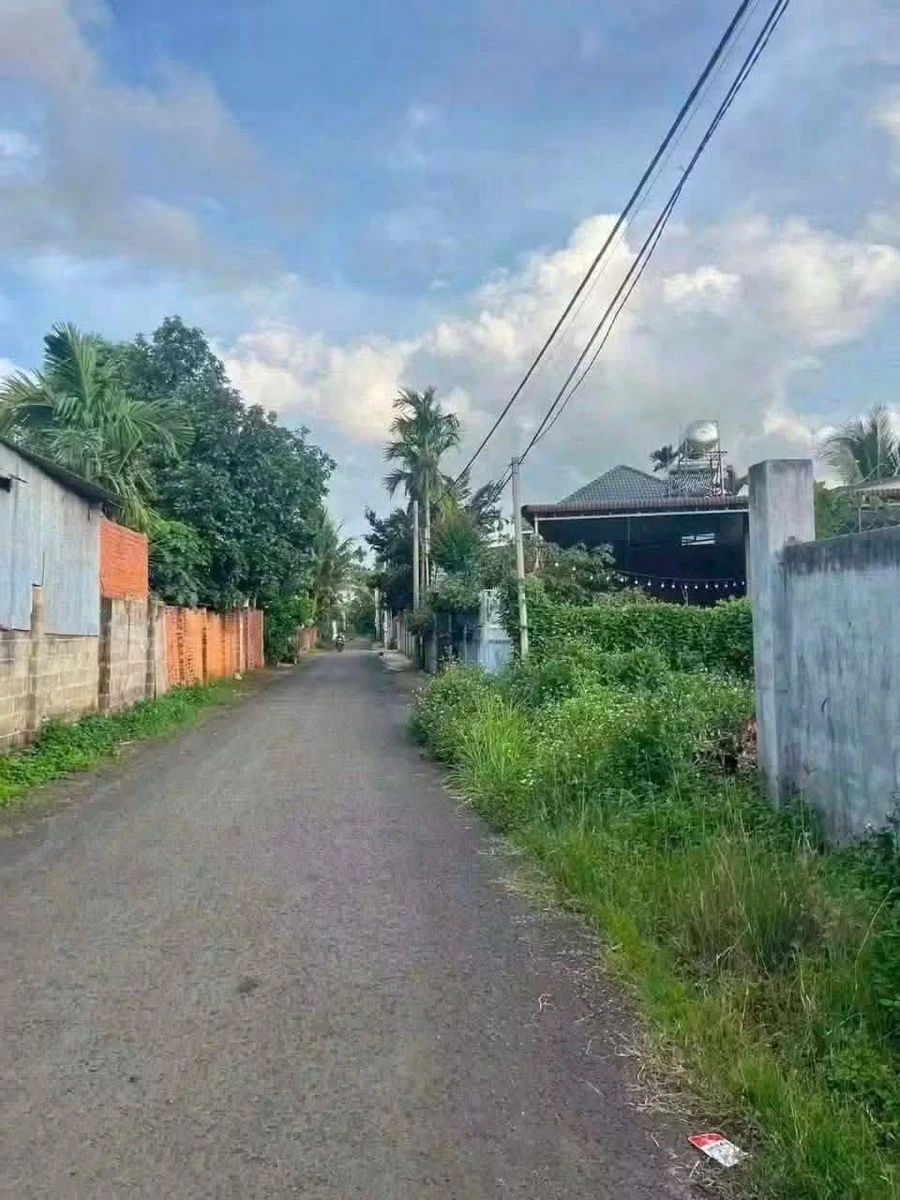 Bán đất Thôn 1 Tân Hoà 170m² 1 tỷ 250 triệu - Ảnh thu nhỏ 2