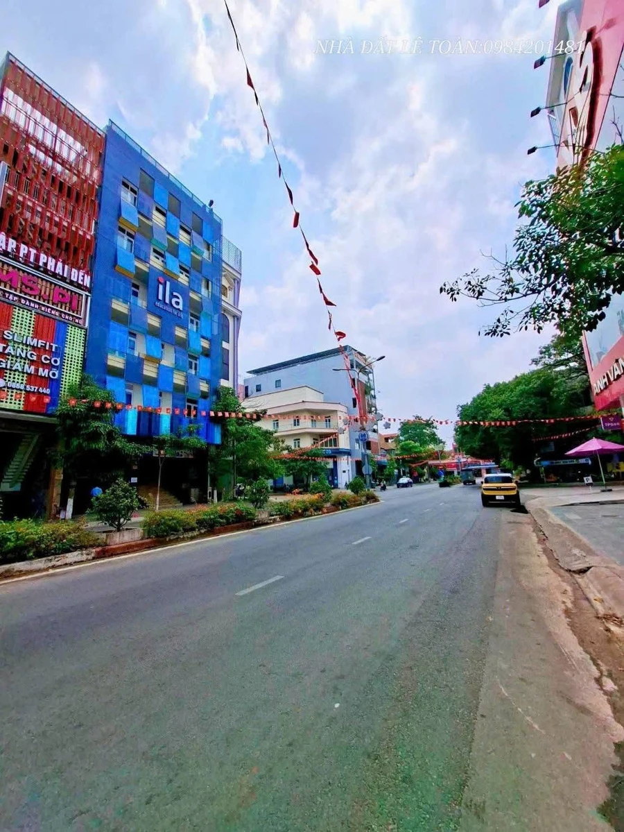 Bán biệt thự 250m2 ngang 10m, 3 tầng, đường số 9 khu trung tâm hành chính Dĩ An - Ảnh thu nhỏ 3