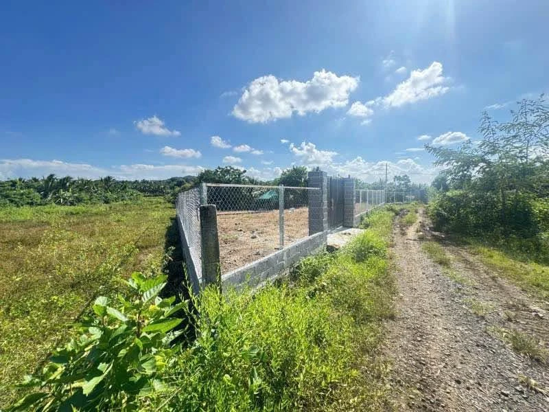 Bán đất 2300m² Cư Êbur Buôn Ma Thuột 1,1 tỷ - Ảnh 1