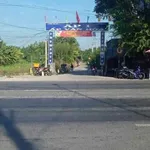 Bán 4800m2 đất vườn trồng dừa, chanh, ổi giá 1,9 tỷ tại xã Thạnh Lợi, Tây Ninh - Ảnh thu nhỏ 1