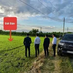 Bán 3.000m² đất Hàm Đức Bình Dương giáp Phú Long - Ảnh thu nhỏ 1