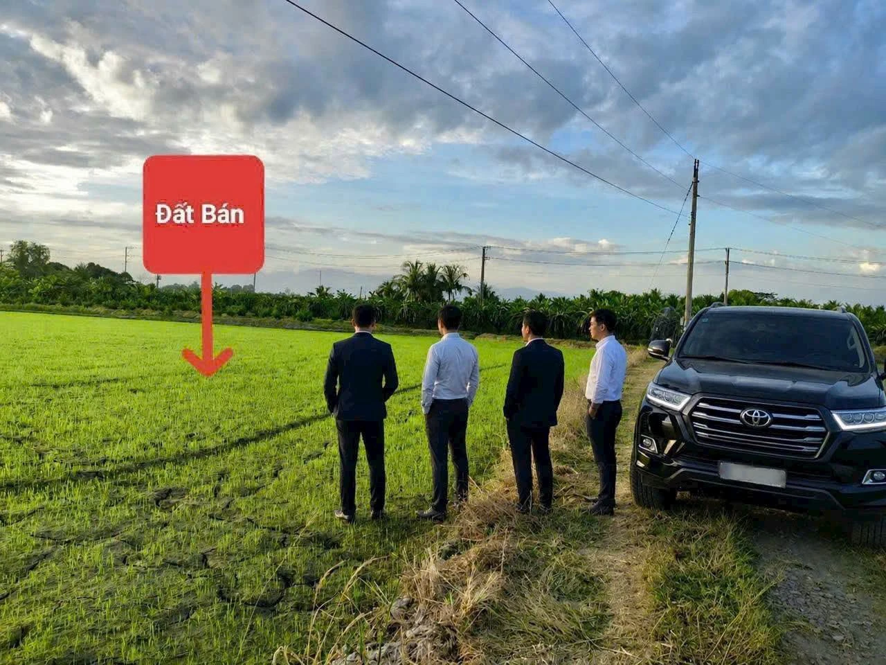Bán 3.000m² đất Hàm Đức Bình Dương giáp Phú Long - Ảnh 1