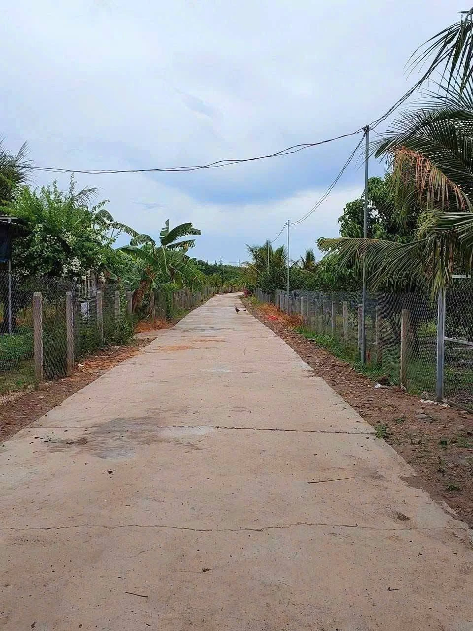 Bán đất vườn hơn 1200m2 view sông tại Diên Đồng, Diên Khánh, Khánh Hòa giá 899 triệu - Ảnh 1