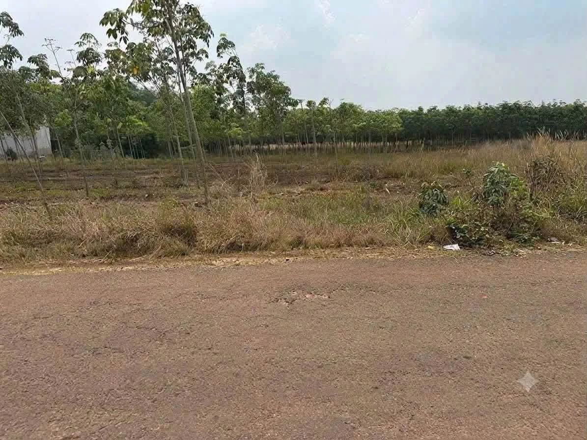 Bán đất Dầu Tiếng, Bình Dương 100m2, giá 4 tỷ - Ảnh thu nhỏ 3