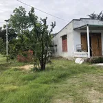 Cần bán đất Lâm Đồng, giảm sâu cho ai mua nhanh vì cần bán gấp - Ảnh thu nhỏ 12