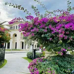 Bán căn thô The Residence Phú Quốc, full tiện ích, rạp chiếu phim, siêu thị, phù hợp cho thuê - Ảnh thu nhỏ 16