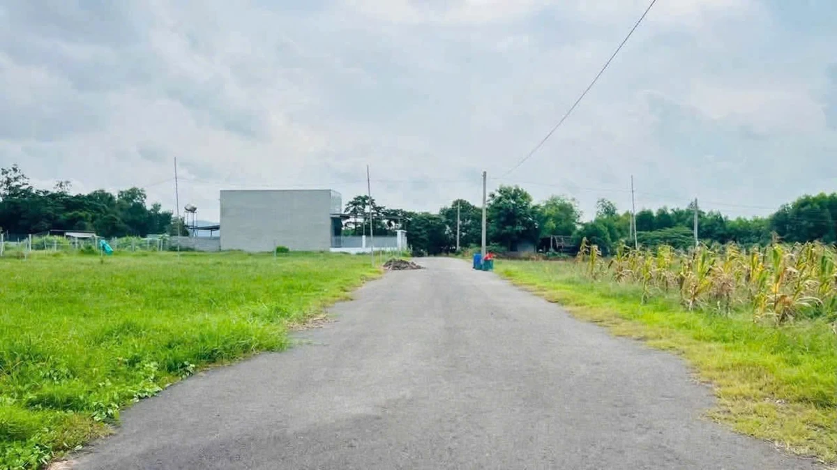Bán đất mặt tiền Nguyễn Công Hoàn Đất Đỏ 140m2 1 tỷ - Ảnh thu nhỏ 3