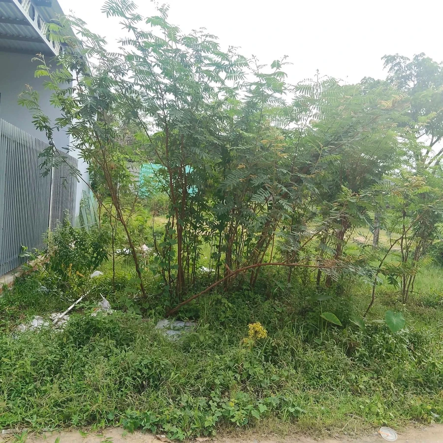 Bán lô đất nền 140m² Trà Giang Ninh Thuận giá 320 triệu - Ảnh 1