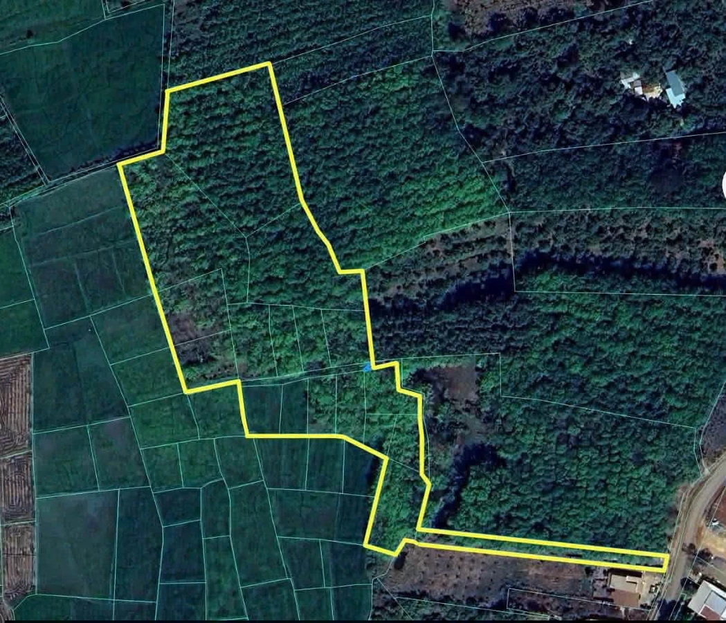 Bán đất 2 hectare 800 triệu Bù Đốp - Ảnh 1
