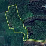 Bán đất 2 hectare 800 triệu Bù Đốp - Ảnh thu nhỏ 1