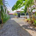 Bán nhà vườn 620m² Phường Bửu Long Thủ Đức - Ảnh thu nhỏ 1