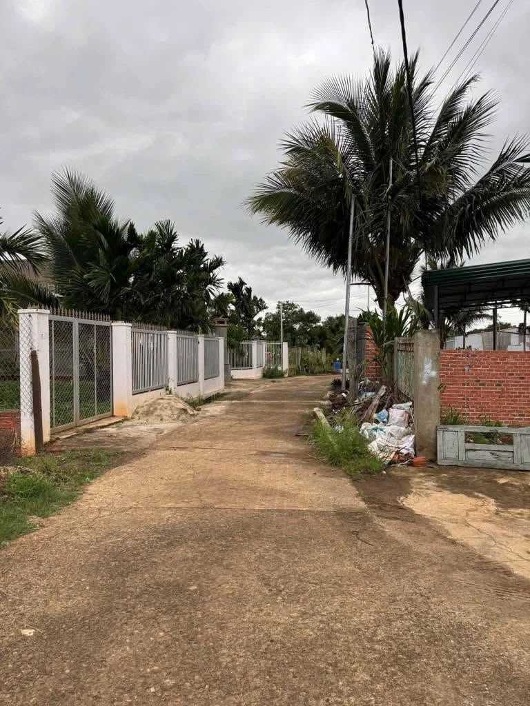 Bán nhà 2PN diện tích 6x52m hẻm Phan Văn Đạt, Phường Thành Nhất, Buôn Ma Thuột giá 1,6 tỷ - Ảnh thu nhỏ 3