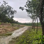 Bán lô đất cao su 5.6 ha Phú Trung Đồng Nai - Ảnh thu nhỏ 3