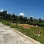 Đất bán Diên Đồng 85m², mặt tiền ô tô thông, 299 triệu - Ảnh thu nhỏ 1