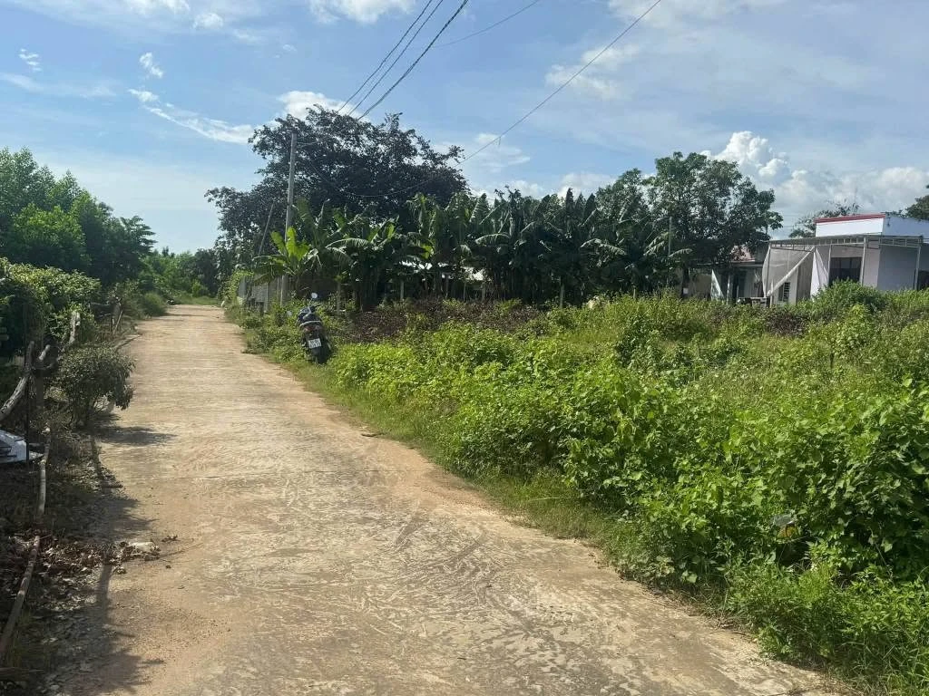 Bán 2 nền liền kề thị trấn Định Quán 340m² giá 570 triệu - Ảnh thu nhỏ 4