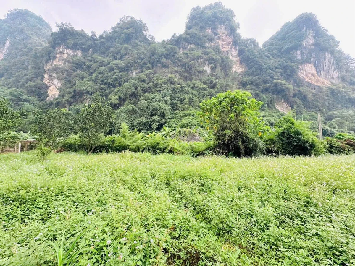 Bán đất 1160m² view núi, Đú Sáng, Kim Bôi, Hòa Bình - Ảnh thu nhỏ 2