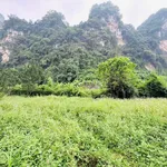 Bán đất 1160m² view núi, Đú Sáng, Kim Bôi, Hòa Bình - Ảnh thu nhỏ 2