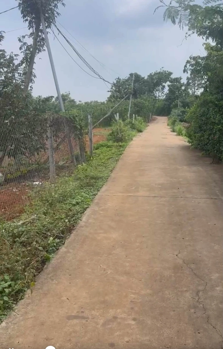 Bán nhanh 1500m² đất Cẩm Mỹ, Đồng Nai chỉ 1 tỷ - Ảnh 1
