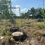 Bán nhà vườn 9.500m² tại Xã Bình Mỹ, Củ Chi - Ảnh thu nhỏ 2