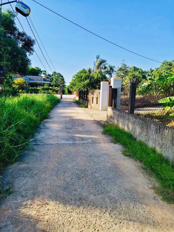 Bán đất 270m2 thổ cư 299 triệu Xã Đan Điền