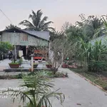 Bán nhà vườn 543m2 tại Bến Tre - 940 triệu - Ảnh thu nhỏ 5