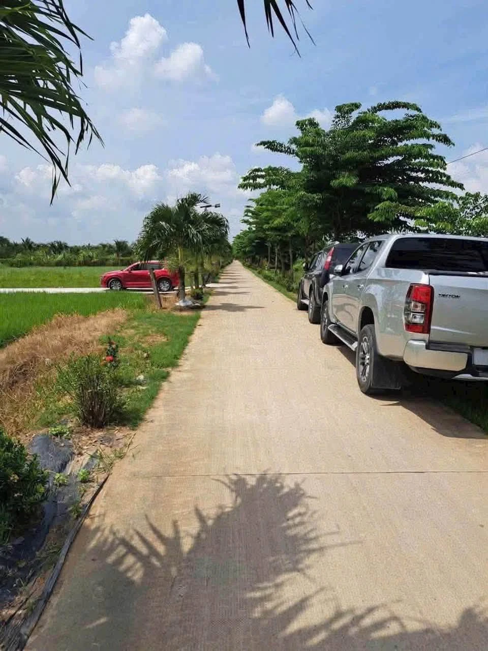 Bán đất 1000m2 xã Hòa Phú Nhà Bè 1 tỷ 100 triệu - Ảnh 1