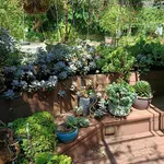 Cần bán gấp mặt phố Trần Huy Liệu cạnh chợ Mộc Châu dt 1450m2 phù hợp xây khách sạn resort SĐCC - Ảnh thu nhỏ 8
