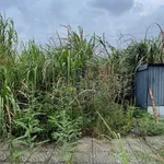 Bán đất công nghiệp Cẩm Thịnh Cẩm Phả 400m² hơn 1 tỷ - Ảnh thu nhỏ 1