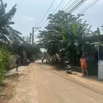 Bán đất mặt tiền KCN Bàu Xéo 993m², 4 tỷ - Ảnh thu nhỏ 4