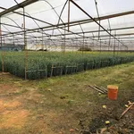 Bán đất hơn 4 sào 4207,4m² hai mặt tiền gần Hồ Than Thở, Đà Lạt giá 26,999 tỷ - Ảnh thu nhỏ 3