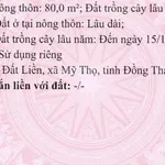 Bán đất nền Ấp Mỹ Phú Đất Liền, diện tích 283,6 m2. Có sẵn 80m2 là đất thổ cư - Ảnh thu nhỏ 1