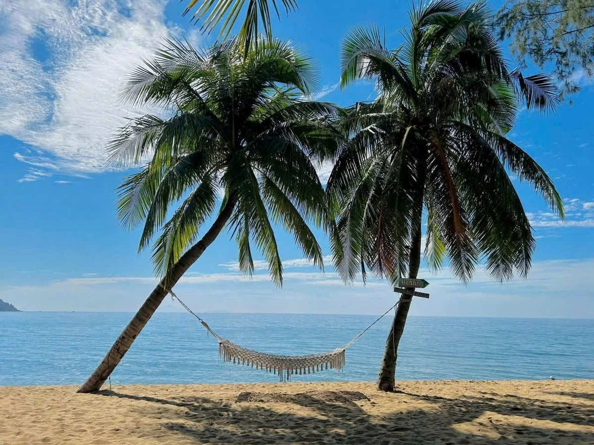 Bán đất Sơn Trà Đà Nẵng 100m² giá 8 tỷ - Ảnh 1