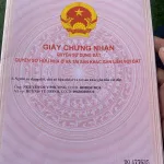Đất sổ hồng 2 mặt tiền diện tích 480m² - đường tỉnh 984 rộng 20m tuyến U Minh - Cà Mau - Ảnh thu nhỏ 10