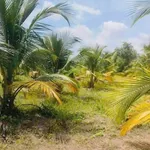 Bán 4.800m² đất vườn Long An, giá 1 tỷ 900 triệu - Ảnh thu nhỏ 4