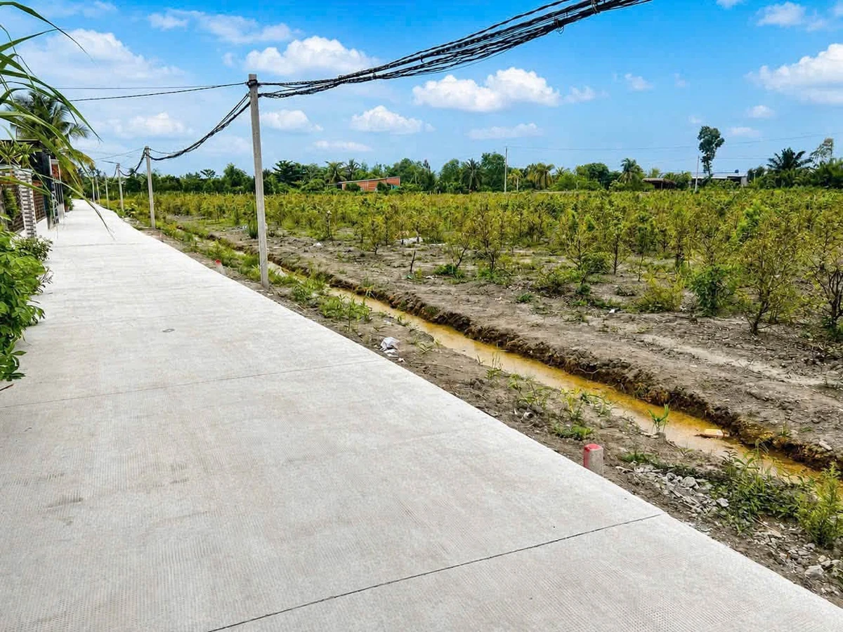 Bán đất nền 696 m² tại Thạnh Lợi, Tây Ninh 790 triệu - Ảnh thu nhỏ 2